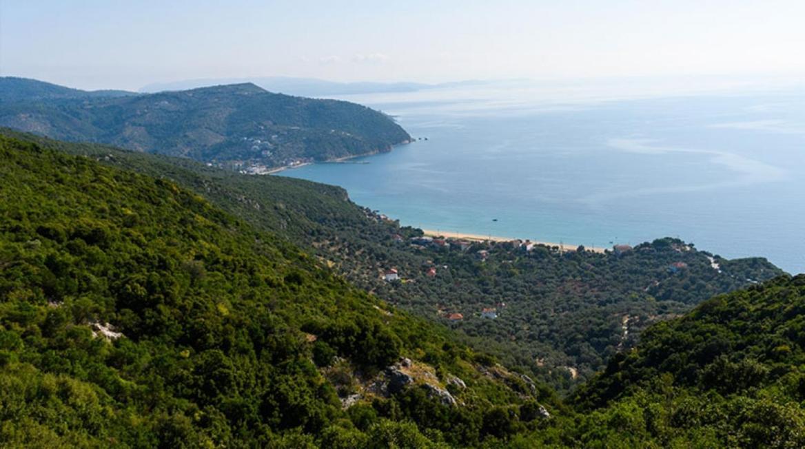 Oniropetra Pelion Mikro Pansiyon Dış mekan fotoğraf